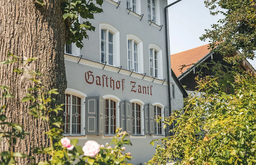 Suiten Zantl-1
